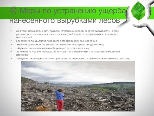 4) Меры по устранению ущерба, нанесенного вырубками лесов Для того чтобы остановить процесс