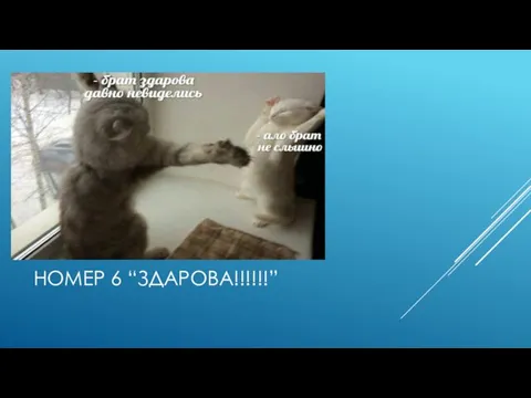 НОМЕР 6 “ЗДАРОВА!!!!!!”