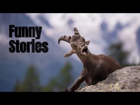 Funny Stories