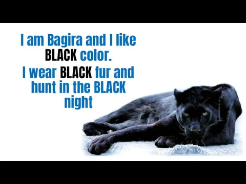 I am Bagira and I like BLACK color. I wear