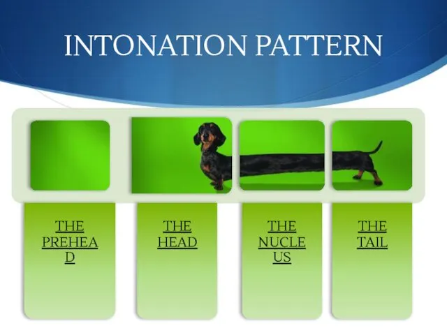 INTONATION PATTERN