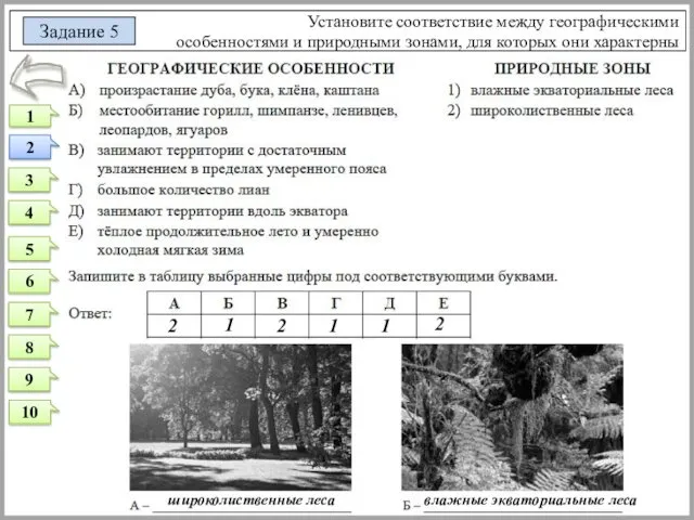 Установите соответствие между географическими особенностями и природными зонами, для которых