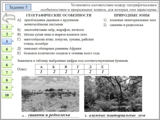 Установите соответствие между географическими особенностями и природными зонами, для которых