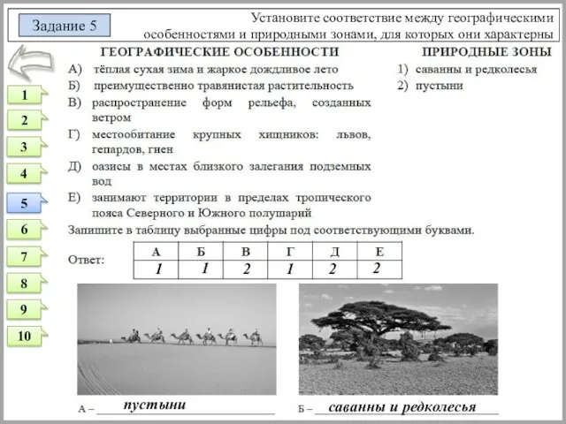 Установите соответствие между географическими особенностями и природными зонами, для которых