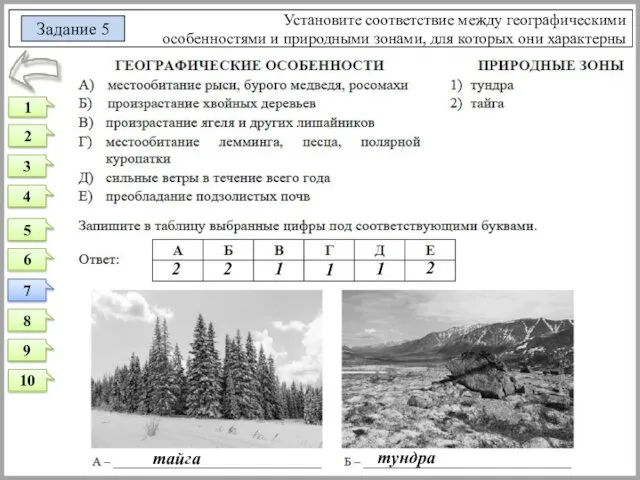 Установите соответствие между географическими особенностями и природными зонами, для которых