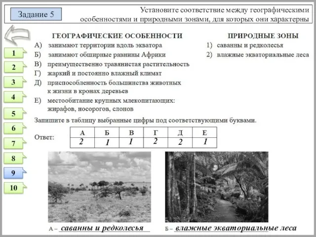 Установите соответствие между географическими особенностями и природными зонами, для которых