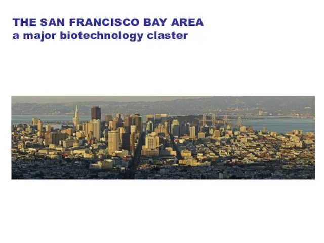 THE SAN FRANCISCO BAY AREA a major biotechnology claster