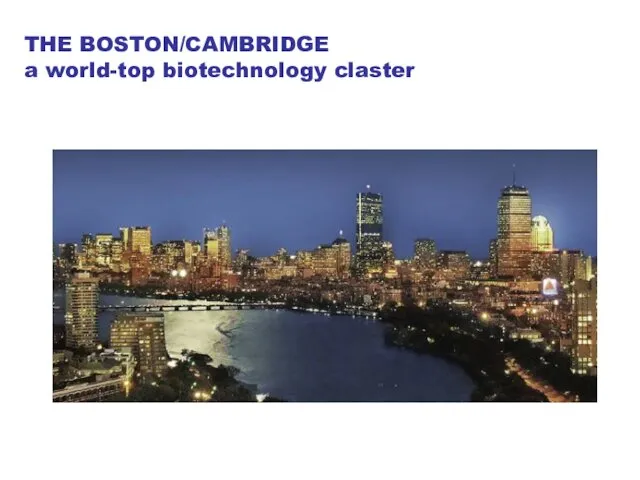 THE BOSTON/CAMBRIDGE a world-top biotechnology claster