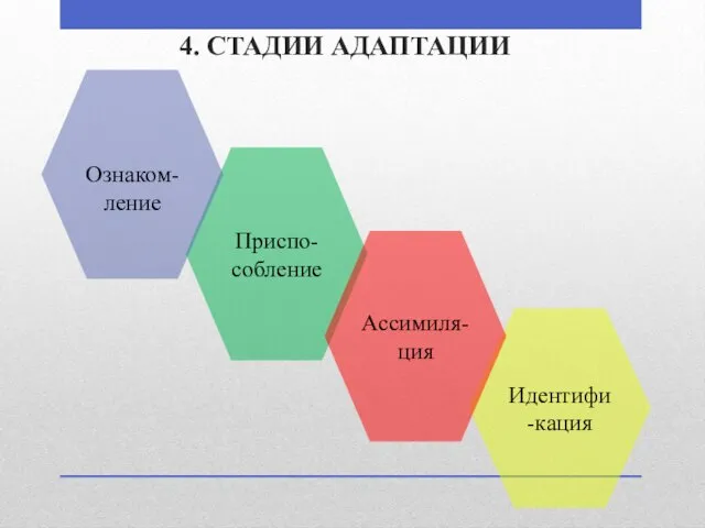 4. СТАДИИ АДАПТАЦИИ Приспо-собление Идентифи-кация Ознаком-ление Ассимиля-ция