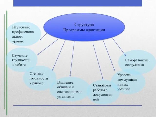 Структура Программы адаптации Саморазвитие сотрудника Уровень коммуникативных умений Стандарты работы с документацией Владение