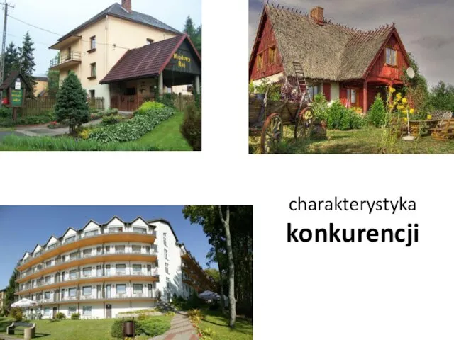 charakterystyka konkurencji