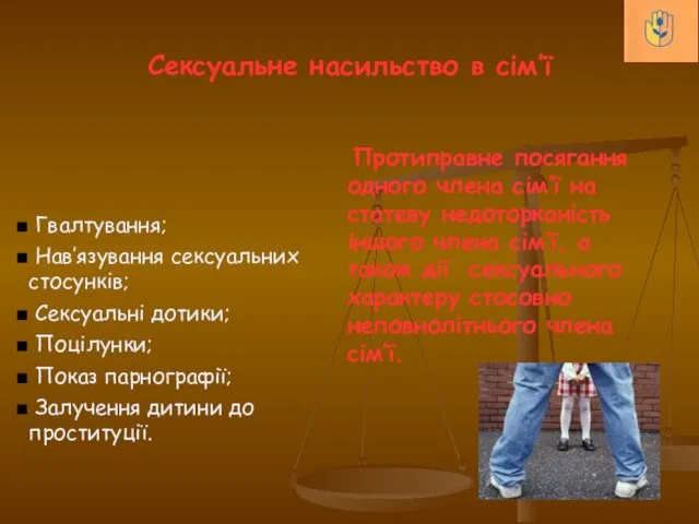 Сексуальне насильство в сім’ї Гвалтування; Нав’язування сексуальних стосунків; Сексуальні дотики;