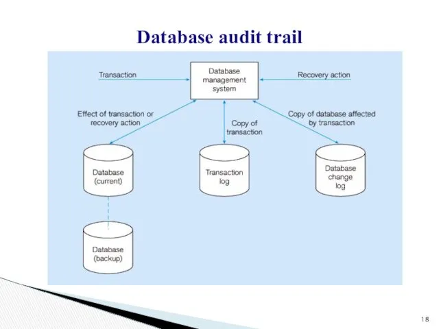 Database audit trail