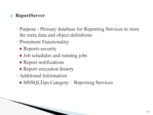 ReportServer Purpose - Primary database for Reporting Services to store