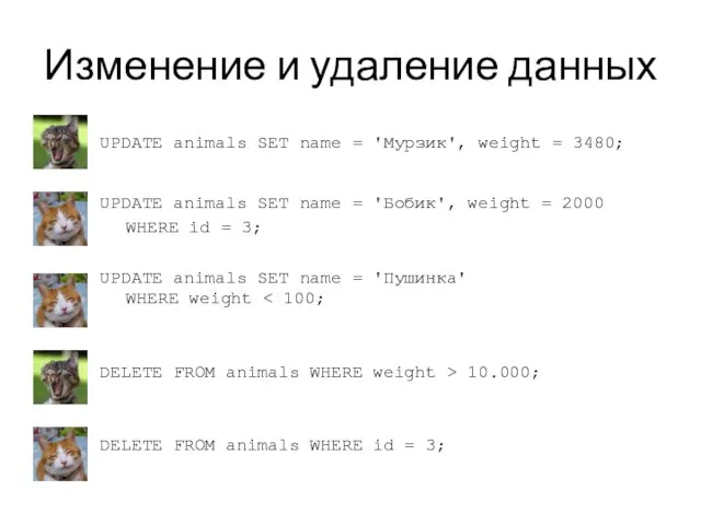 Изменение и удаление данных UPDATE animals SET name = 'Мурзик',