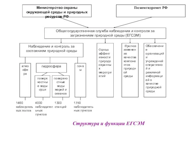 Структура и функции ЕГСЭМ