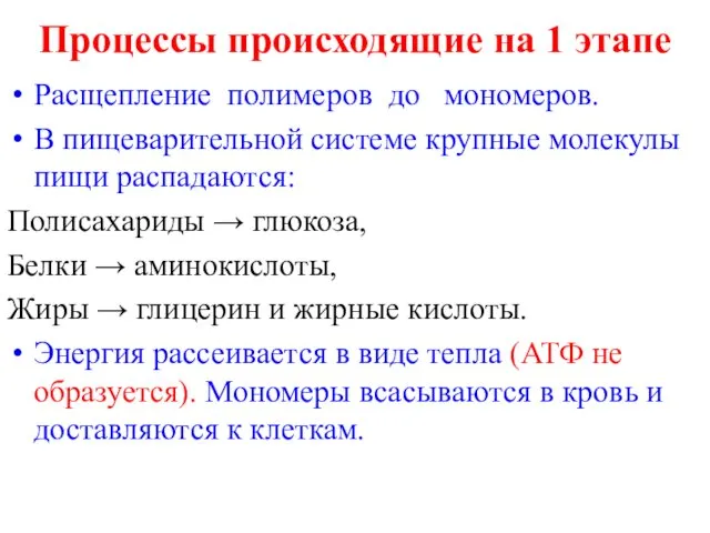 Процессы происходящие на 1 этапе Расщепление полимеров до мономеров. В