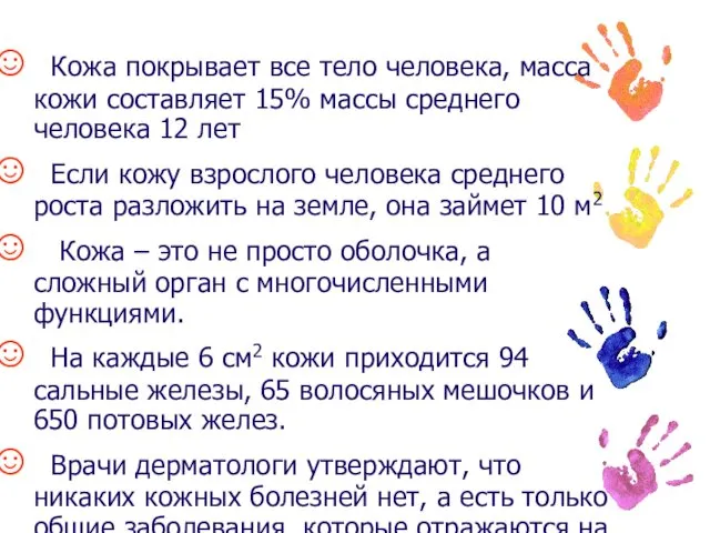 Кожа покрывает все тело человека, масса кожи составляет 15% массы