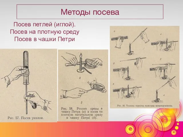 Методы посева Посев петлей (иглой). Посев на плотную среду Посев в чашки Петри