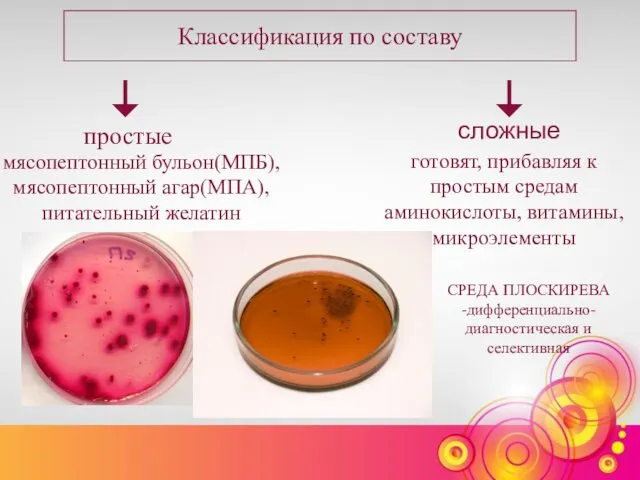 Классификация по составу мясопептонный бульон(МПБ), мясопептонный агар(МПА), питательный желатин простые