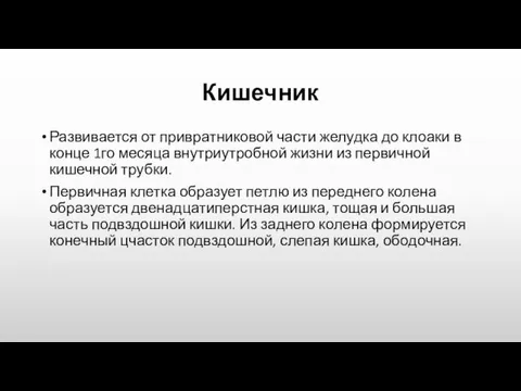 Кишечник Развивается от привратниковой части желудка до клоаки в конце