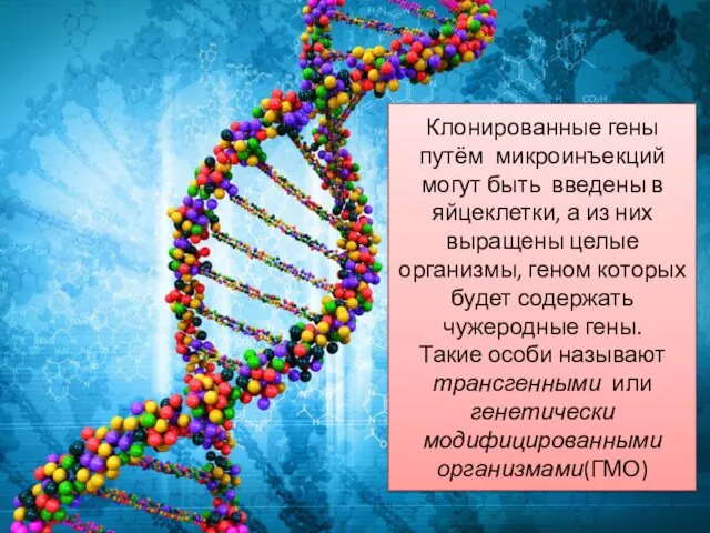 Клонированные гены путём микроинъекций могут быть введены в яйцеклетки, а