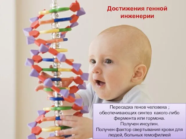 Пересадка генов человека ; обеспечивающих синтез какого-либо фермента или гормона.