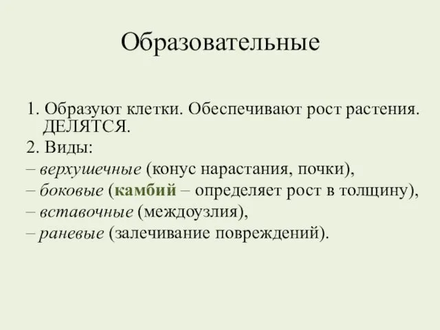 Образовательные 1. Образуют клетки. Обеспечивают рост растения. ДЕЛЯТСЯ. 2. Виды: