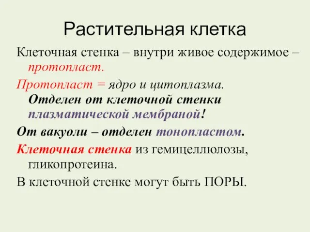 Растительная клетка Клеточная стенка – внутри живое содержимое – протопласт.