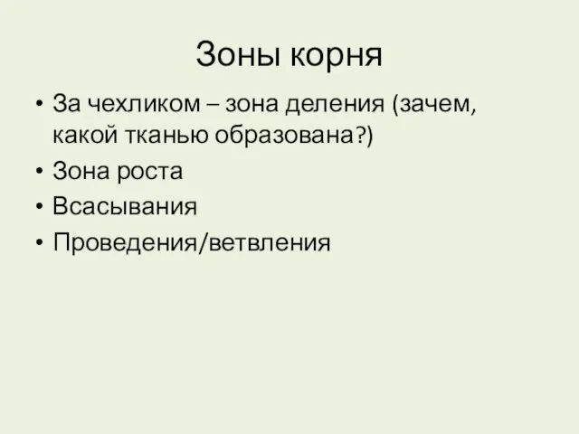 Зоны корня За чехликом – зона деления (зачем, какой тканью образована?) Зона роста Всасывания Проведения/ветвления