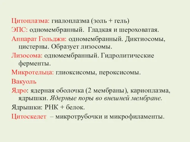 Цитоплазма: гиалоплазма (золь + гель) ЭПС: одномембранный. Гладкая и шероховатая.