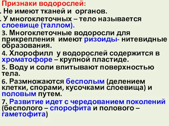 Признаки водорослей: Не имеют тканей и органов. У многоклеточных –