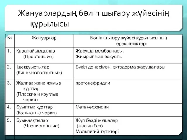 Жануарлардың бөліп шығару жүйесінің құрылысы