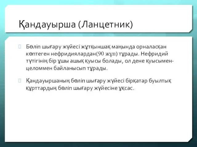 Қандауырша (Ланцетник) Бөліп шығару жүйесі жұтқыншақ маңында орналасқан көптеген нефридиялардан(90