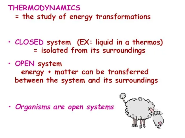 THERMODYNAMICS = the study of energy transformations CLOSED system (EX: