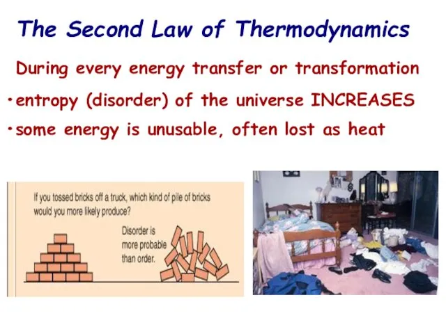 The Second Law of Thermodynamics During every energy transfer or