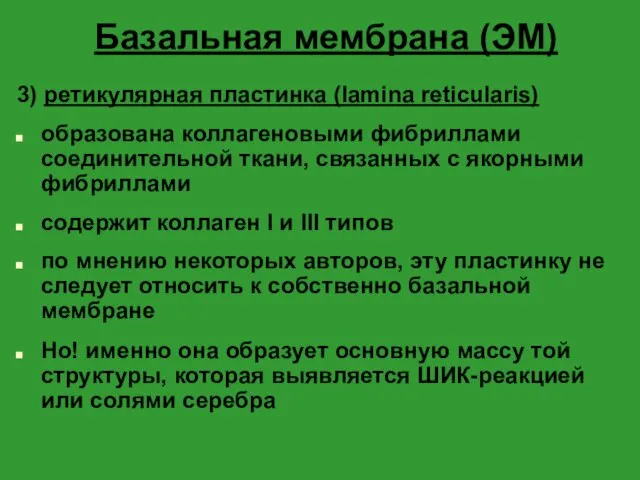 Базальная мембрана (ЭМ) 3) ретикулярная пластинка (lamina reticularis) образована коллагеновыми