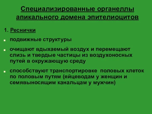 Специализированные органеллы апикального домена эпителиоцитов 1. Реснички подвижные структуры очищают