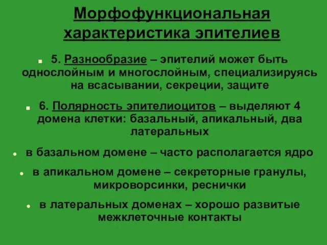 Морфофункциональная характеристика эпителиев 5. Разнообразие – эпителий может быть однослойным