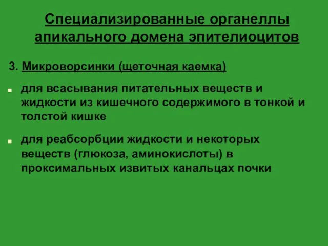 Специализированные органеллы апикального домена эпителиоцитов 3. Микроворсинки (щеточная каемка) для