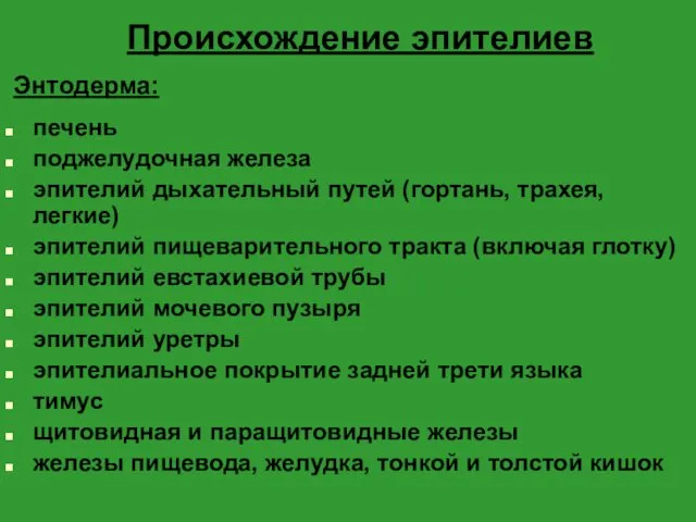 Происхождение эпителиев Энтодерма: печень поджелудочная железа эпителий дыхательный путей (гортань,