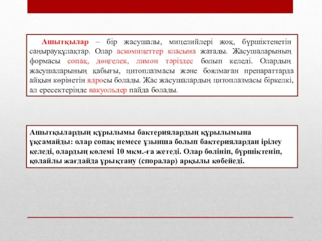 Ашытқылар – бір жасушалы, мицелийлері жоқ, бүршіктенетін саңырауқұлақтар. Олар аскомицеттер