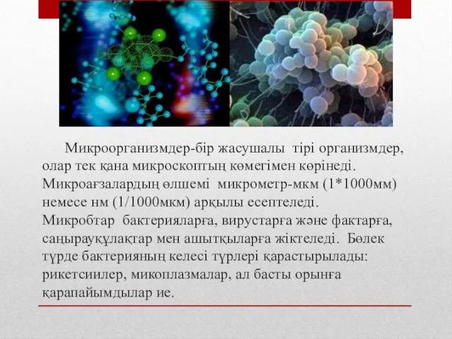 Микроорганизмдер-бір жасушалы тірі организмдер, олар тек қана микроскоптың көмегімен көрінеді.