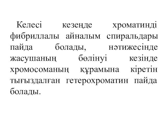 Келесі кезеңде хроматинді фибриллалы айналым спиральдары пайда болады, нәтижесінде жасушаның