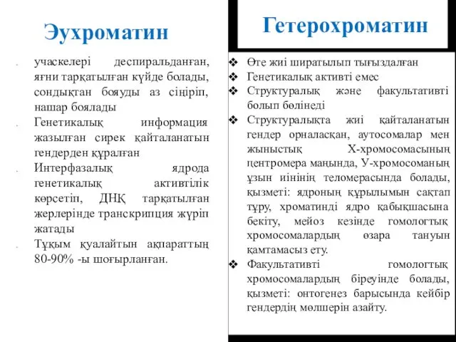 Эухроматин учаскелері деспиральданған, яғни тарқатылған күйде болады, сондықтан бояуды аз