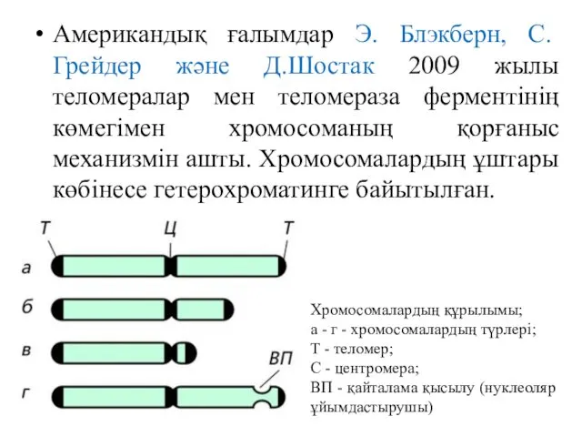 Американдық ғалымдар Э. Блэкберн, С. Грейдер және Д.Шостак 2009 жылы