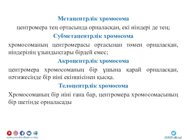 Метацентрлік хромосома центромера тең ортасында орналасқан, екі иіндері де тең;