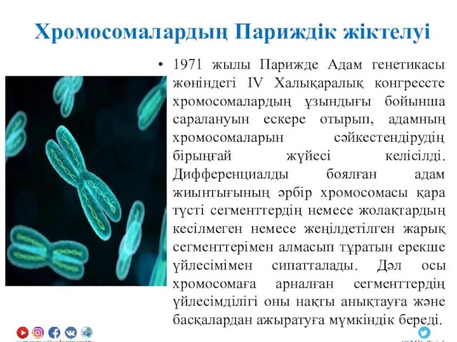 Хромосомалардың Париждік жіктелуі 1971 жылы Парижде Адам генетикасы жөніндегі IV