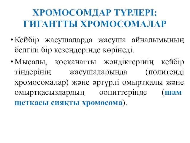 ХРОМОСОМДАР ТҮРЛЕРІ: ГИГАНТТЫ ХРОМОСОМАЛАР Кейбір жасушаларда жасуша айналымының белгілі бір