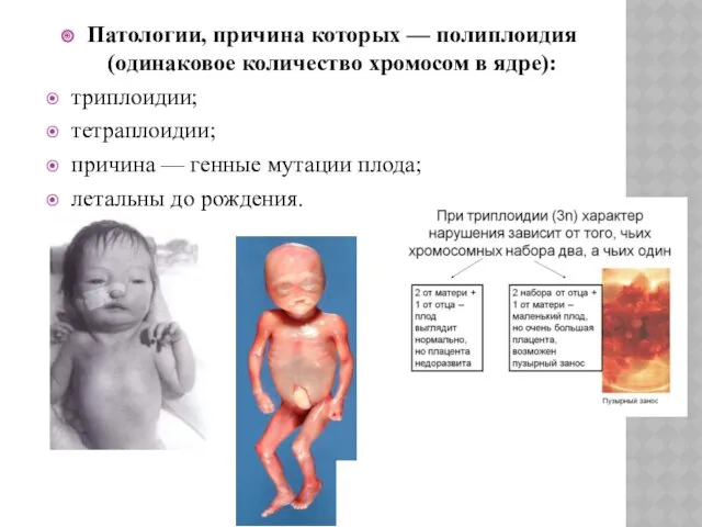 Патологии, причина которых — полиплоидия (одинаковое количество хромосом в ядре):